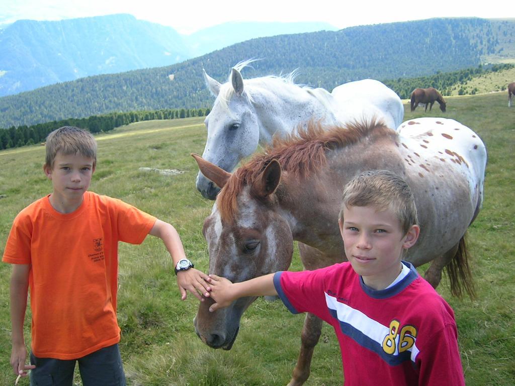 Garni Panoramik Hotel Ortisei Bagian luar foto